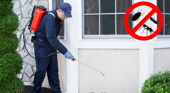 Darıca Gümüşkurt İlaçlama böcek ilaçlama ve haşere kontrolü — ilaclama-tr.com
